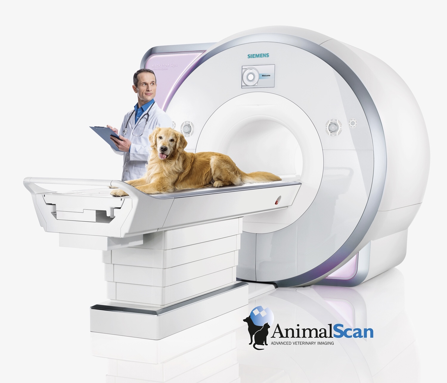 how much does a ct scan cost for a dog